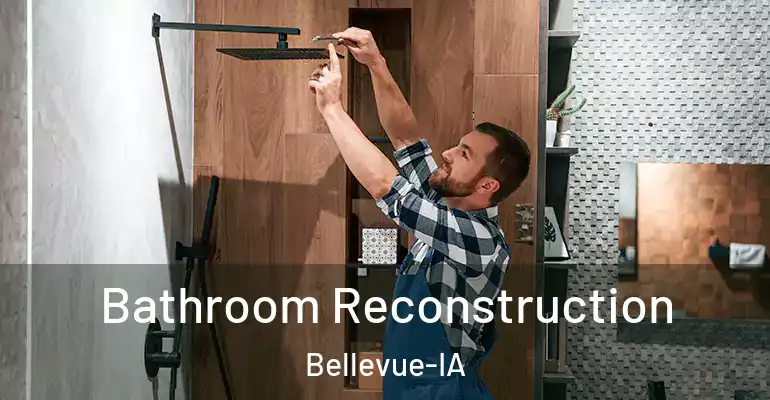 inner Bathroom imggen Bathroom Reconstruction Bellevue-IA
