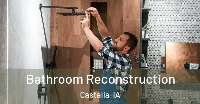 inner Bathroom imggen Bathroom Reconstruction Castalia-IA