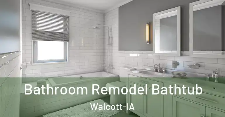 inner Bathroom imggen Bathroom Remodel Bathtub Walcott-IA