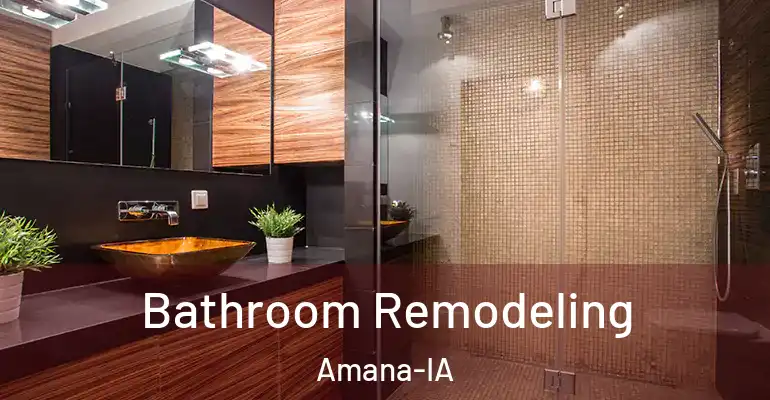 inner Bathroom imggen Bathroom Remodeling Amana-IA
