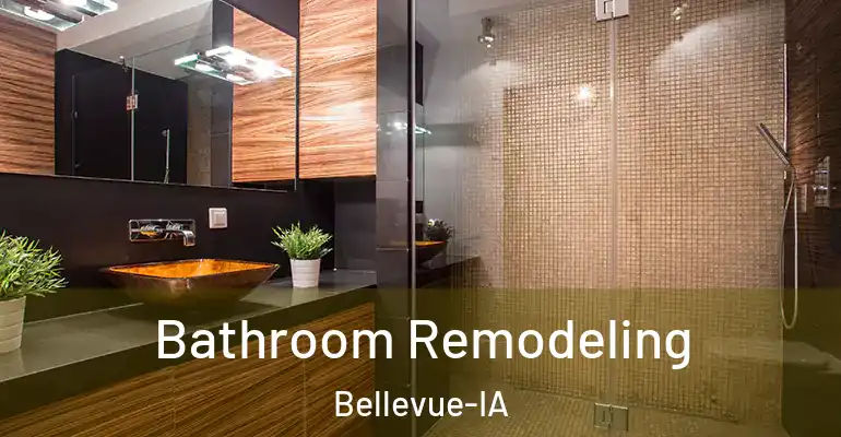 inner Bathroom imggen Bathroom Remodeling Bellevue-IA