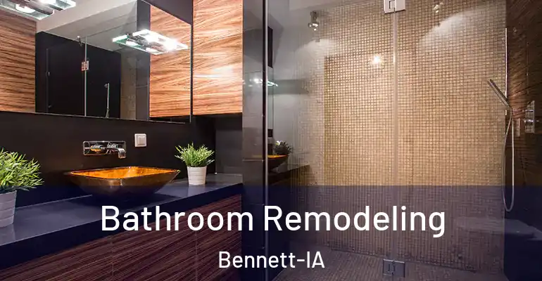 inner Bathroom imggen Bathroom Remodeling Bennett-IA