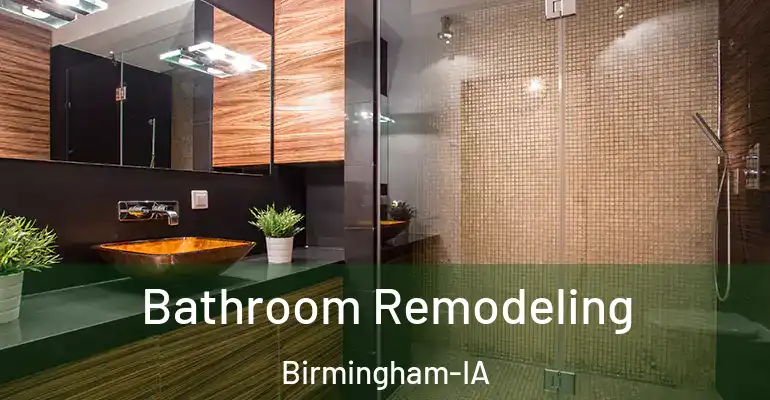 inner Bathroom imggen Bathroom Remodeling Birmingham-IA