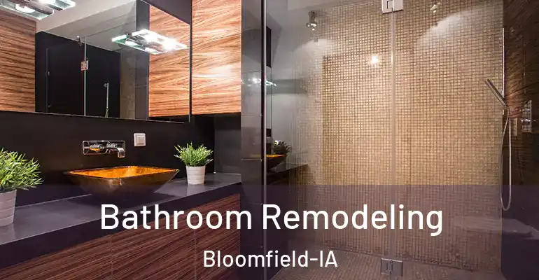inner Bathroom imggen Bathroom Remodeling Bloomfield-IA