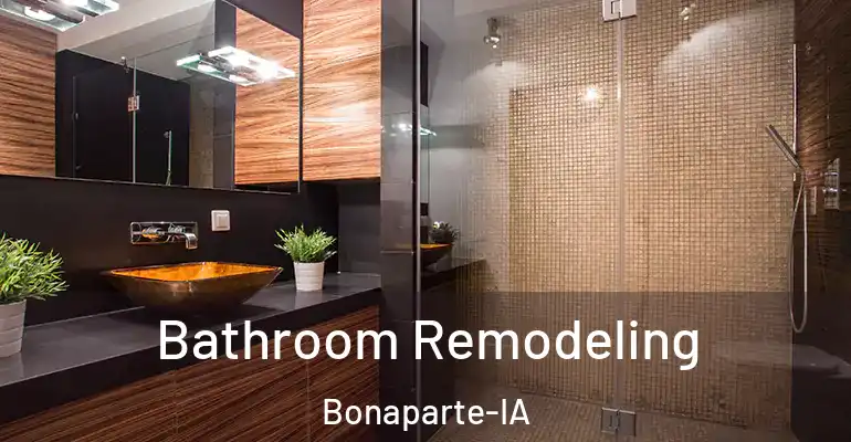 inner Bathroom imggen Bathroom Remodeling Bonaparte-IA