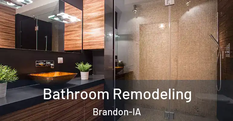 inner Bathroom imggen Bathroom Remodeling Brandon-IA