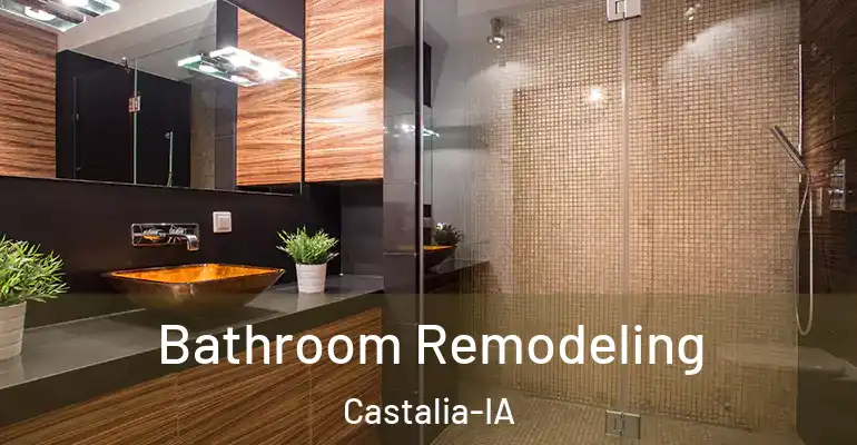 inner Bathroom imggen Bathroom Remodeling Castalia-IA