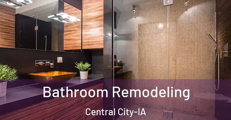 inner Bathroom imggen Bathroom Remodeling Central City-IA