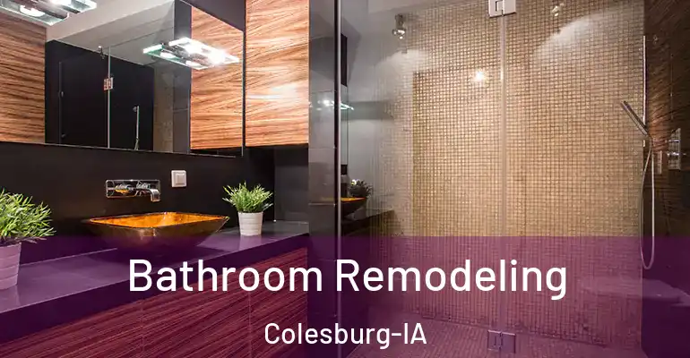 inner Bathroom imggen Bathroom Remodeling Colesburg-IA