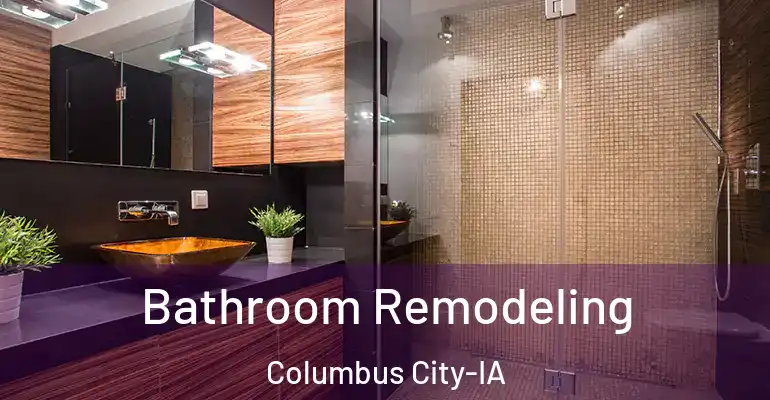 inner Bathroom imggen Bathroom Remodeling Columbus City-IA