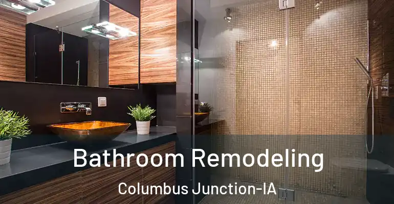 inner Bathroom imggen Bathroom Remodeling Columbus Junction-IA