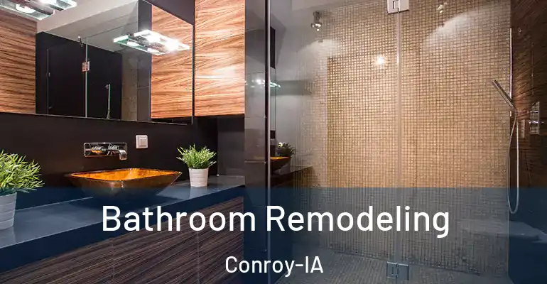 inner Bathroom imggen Bathroom Remodeling Conroy-IA