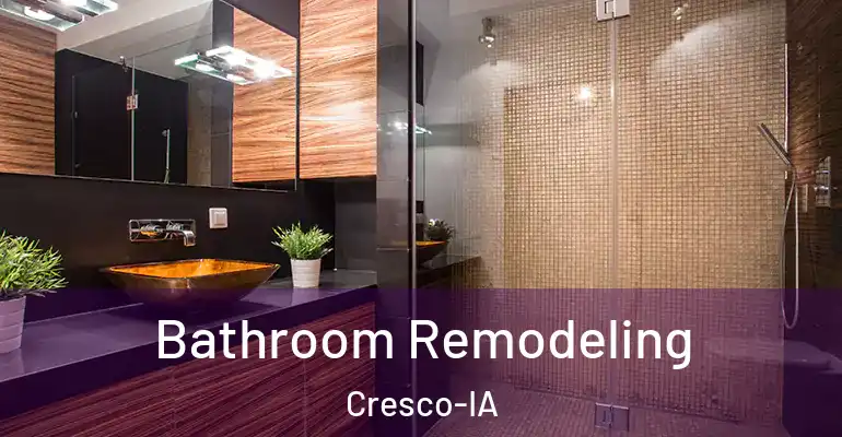 inner Bathroom imggen Bathroom Remodeling Cresco-IA