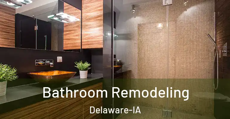 inner Bathroom imggen Bathroom Remodeling Delaware-IA