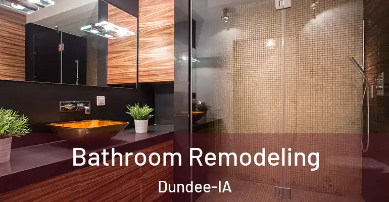 inner Bathroom imggen Bathroom Remodeling Dundee-IA