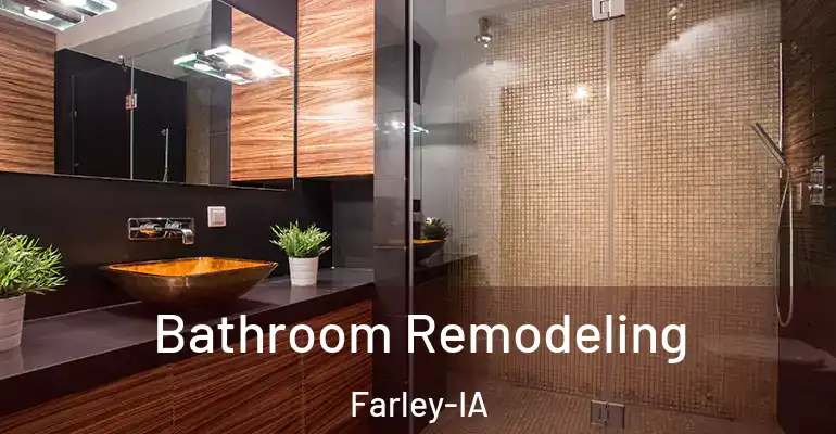 inner Bathroom imggen Bathroom Remodeling Farley-IA