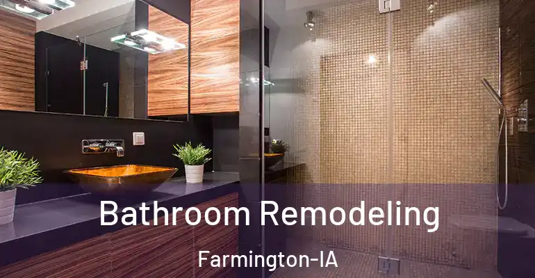 inner Bathroom imggen Bathroom Remodeling Farmington-IA