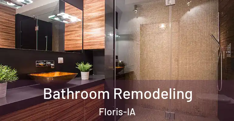inner Bathroom imggen Bathroom Remodeling Floris-IA