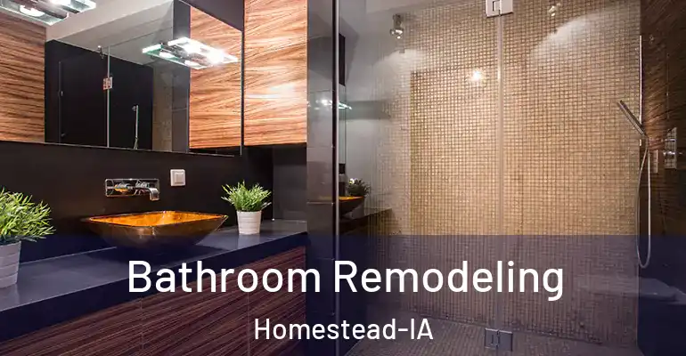 inner Bathroom imggen Bathroom Remodeling Homestead-IA