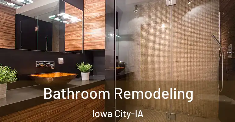 inner Bathroom imggen Bathroom Remodeling Iowa City-IA