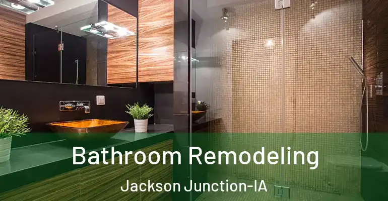 inner Bathroom imggen Bathroom Remodeling Jackson Junction-IA