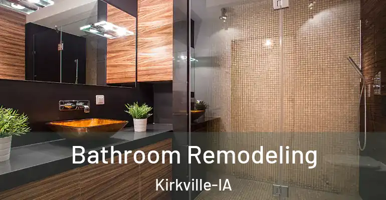inner Bathroom imggen Bathroom Remodeling Kirkville-IA