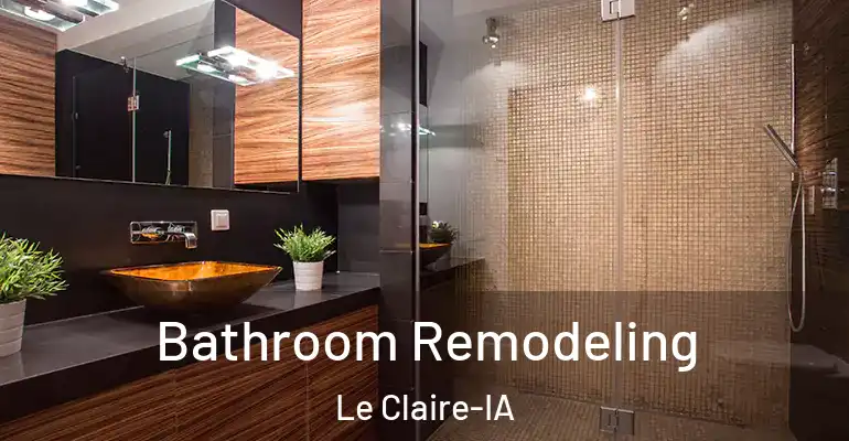 inner Bathroom imggen Bathroom Remodeling Le Claire-IA