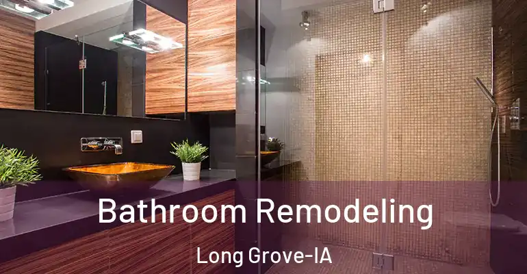 inner Bathroom imggen Bathroom Remodeling Long Grove-IA