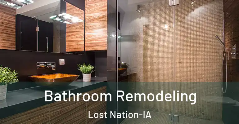 inner Bathroom imggen Bathroom Remodeling Lost Nation-IA
