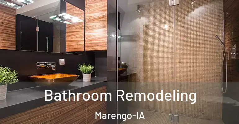 inner Bathroom imggen Bathroom Remodeling Marengo-IA