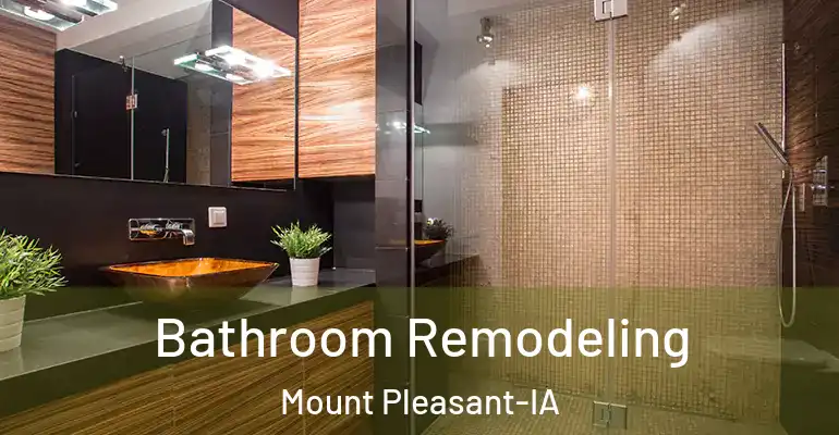 inner Bathroom imggen Bathroom Remodeling Mount Pleasant-IA