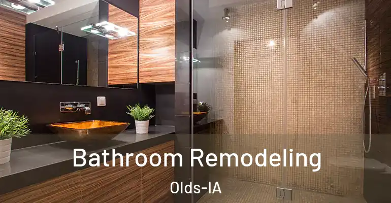inner Bathroom imggen Bathroom Remodeling Olds-IA