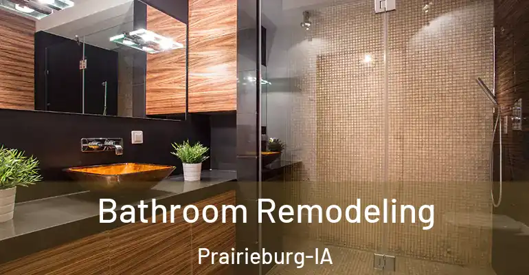 inner Bathroom imggen Bathroom Remodeling Prairieburg-IA