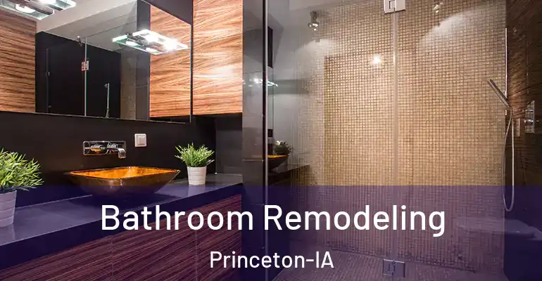inner Bathroom imggen Bathroom Remodeling Princeton-IA