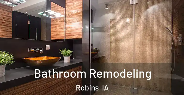 inner Bathroom imggen Bathroom Remodeling Robins-IA