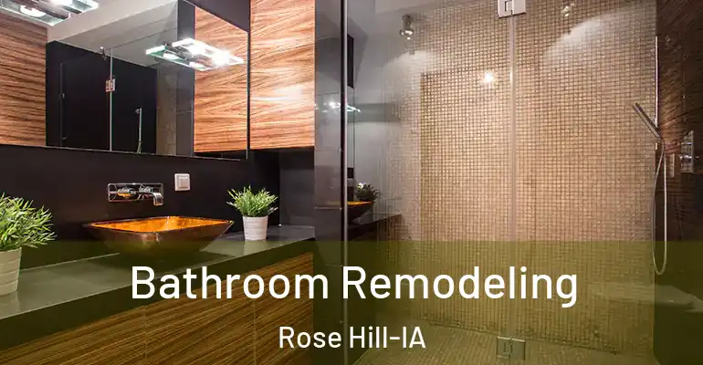 inner Bathroom imggen Bathroom Remodeling Rose Hill-IA