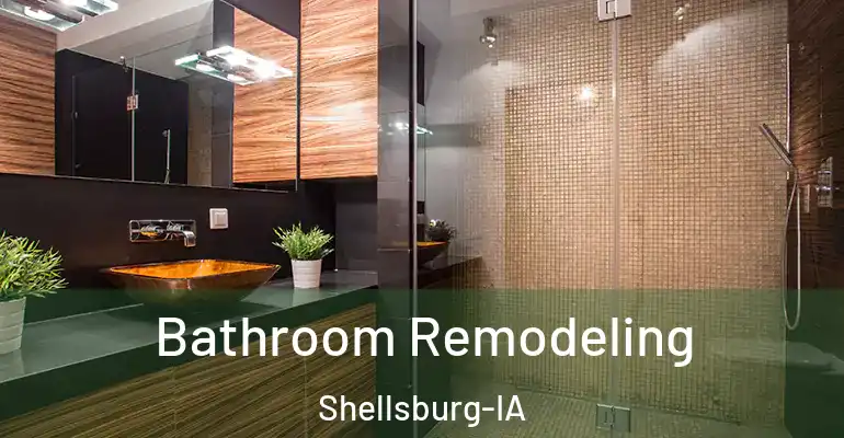 inner Bathroom imggen Bathroom Remodeling Shellsburg-IA