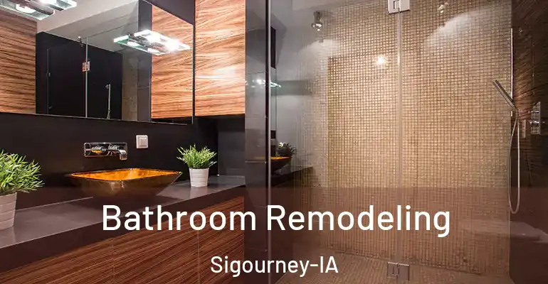 inner Bathroom imggen Bathroom Remodeling Sigourney-IA