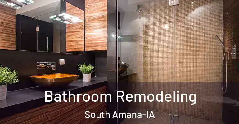 inner Bathroom imggen Bathroom Remodeling South Amana-IA