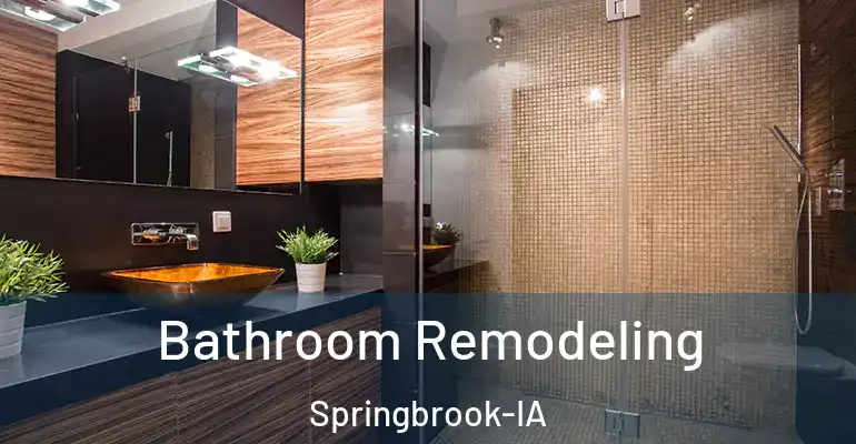 inner Bathroom imggen Bathroom Remodeling Springbrook-IA