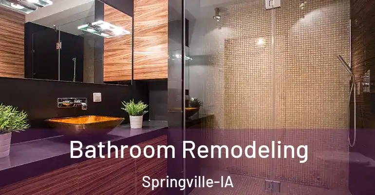 inner Bathroom imggen Bathroom Remodeling Springville-IA
