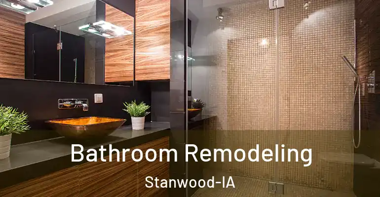 inner Bathroom imggen Bathroom Remodeling Stanwood-IA