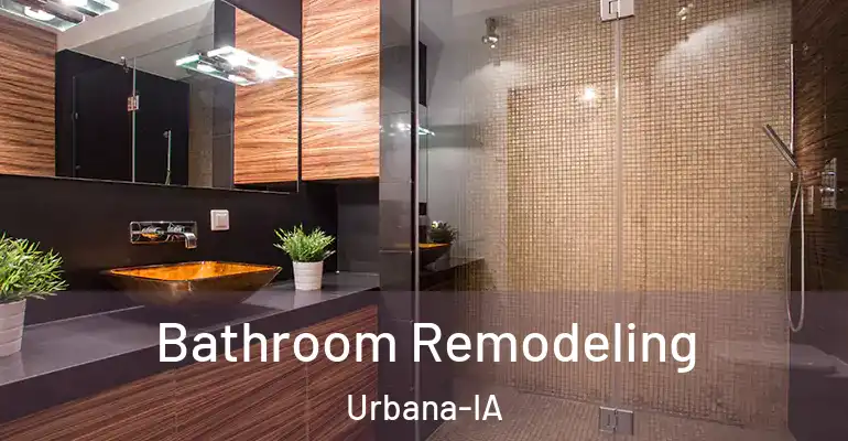 inner Bathroom imggen Bathroom Remodeling Urbana-IA