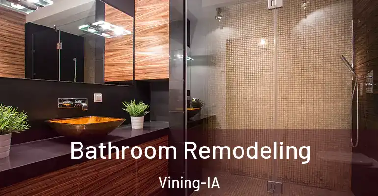 inner Bathroom imggen Bathroom Remodeling Vining-IA
