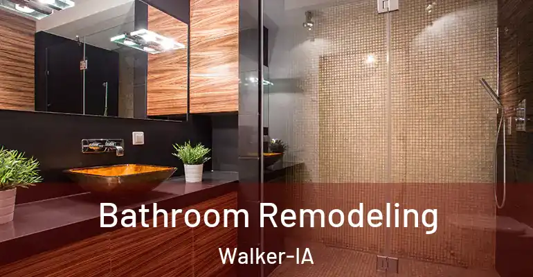 inner Bathroom imggen Bathroom Remodeling Walker-IA