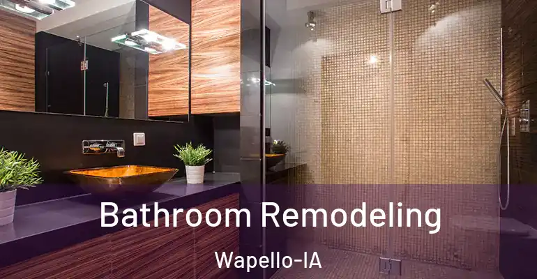inner Bathroom imggen Bathroom Remodeling Wapello-IA