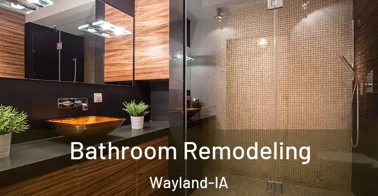 inner Bathroom imggen Bathroom Remodeling Wayland-IA