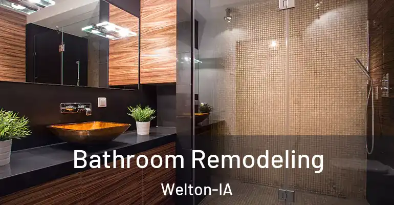 inner Bathroom imggen Bathroom Remodeling Welton-IA