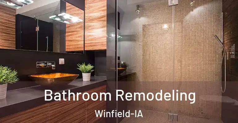 inner Bathroom imggen Bathroom Remodeling Winfield-IA
