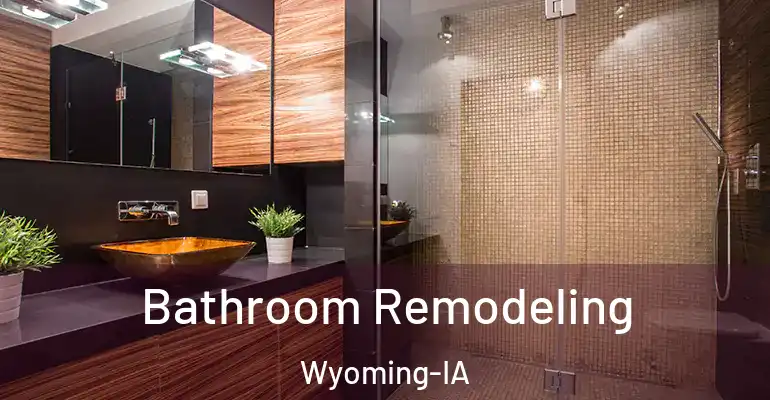 inner Bathroom imggen Bathroom Remodeling Wyoming-IA